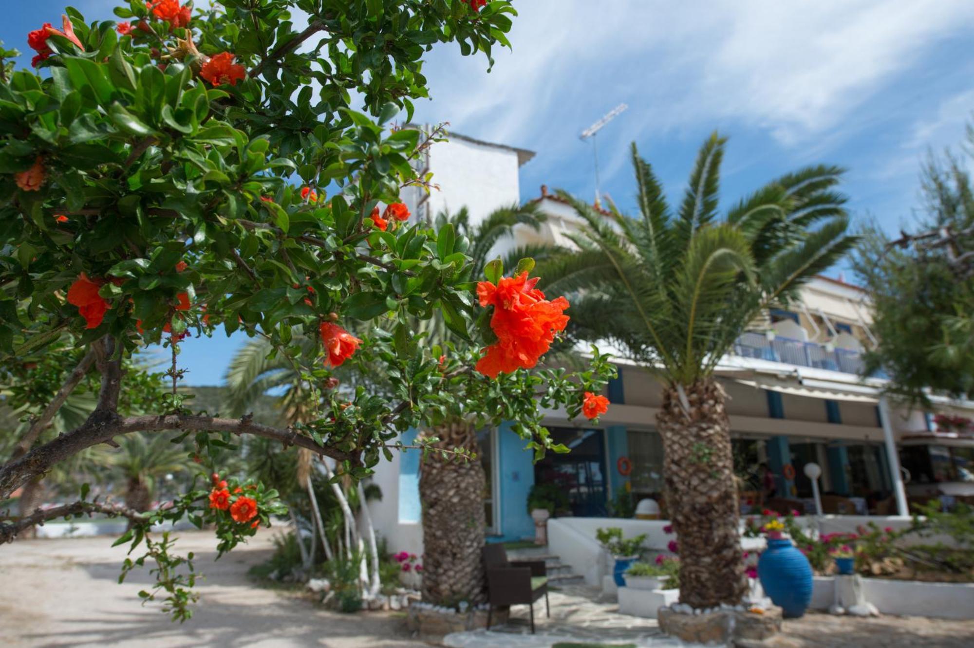 Hotel Avra Nea Epidavros Ngoại thất bức ảnh