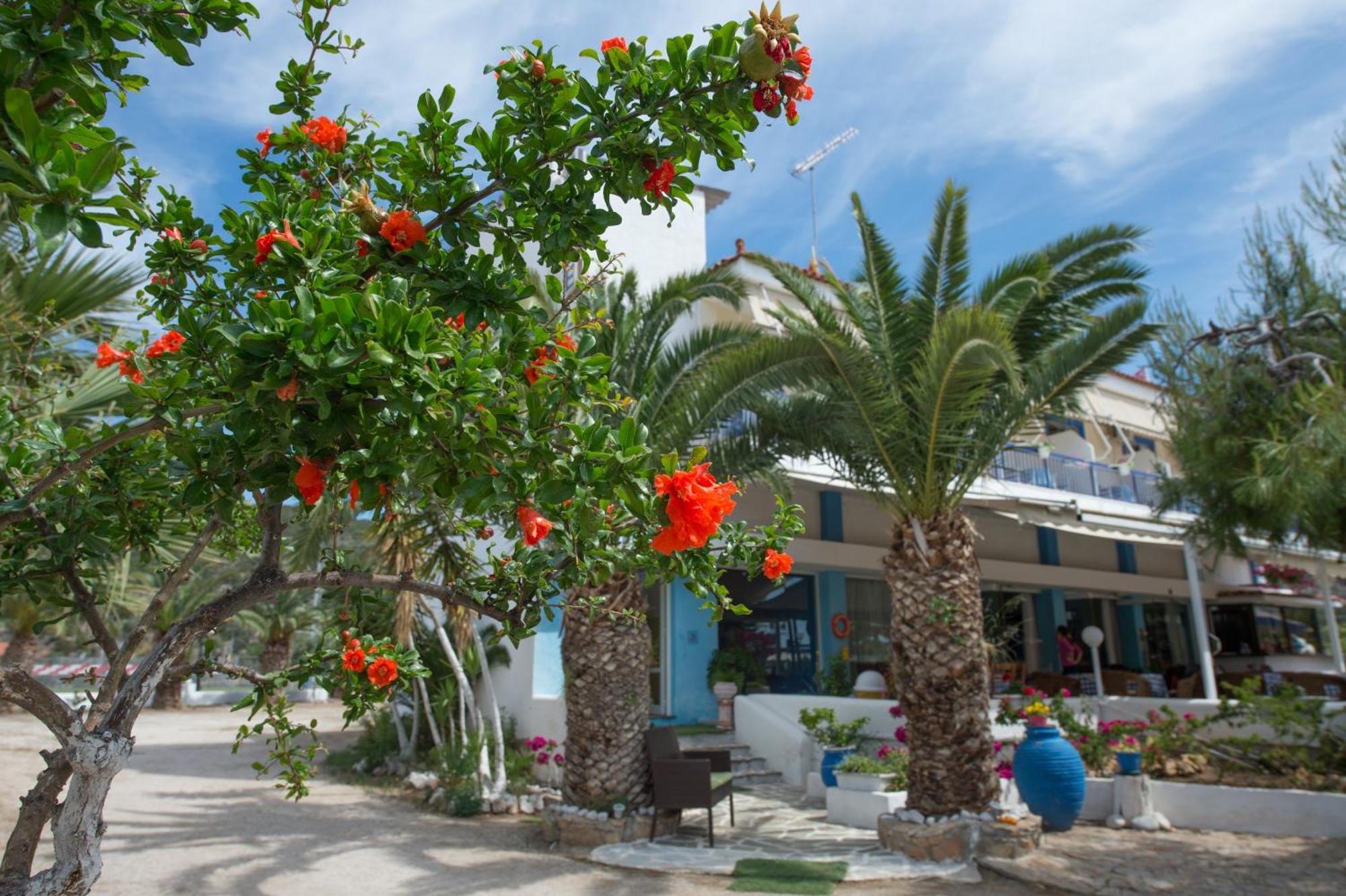 Hotel Avra Nea Epidavros Ngoại thất bức ảnh